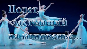 Полет, застывший на мгновенье   *