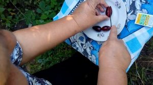 Выращивание кизила.  Отличие зрелых плодов от недозрелых.