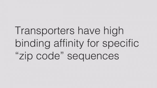 Zip Code Hypothesis