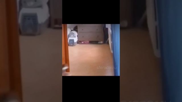 А вы на каком приводе ездите?? #аукционыяпонии #toyota #toyotacamry #camry #camry70