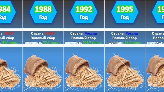 Сколько пшеницы производили в СССР и сколько производят в России смотреть онлайн