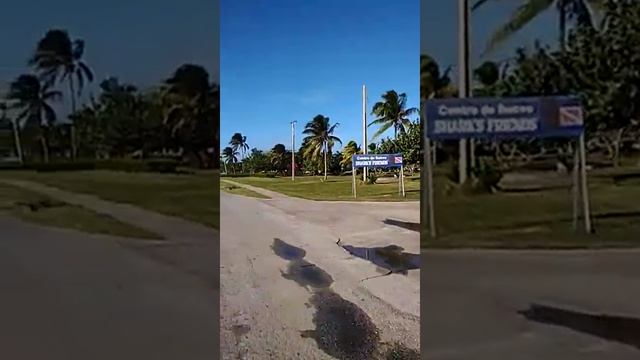 Санта Лусия Club Amigo Mayanabo смотреть онлайн