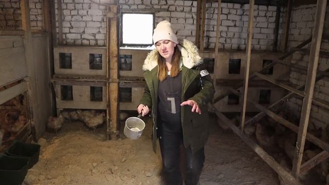 ЧТО НУЖНО ДЕЛАТЬ С? КУРАМИ, ЧТОБЫ НЕСЛИСЬ ХОРОШО В ❄МОРОЗ И КРУГЛЫЙ ГОД смотреть онлайн