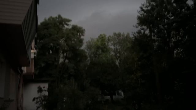 Собачье счастье. Гадаем на Ивана Купала. Кто суженный? Вызываю гром и молнию. смотреть онлайн