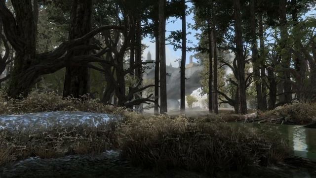 Things We Want In The Elder Scrolls VI | Part 6 смотреть онлайн