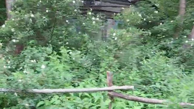 Дом Довлатова смотреть онлайн