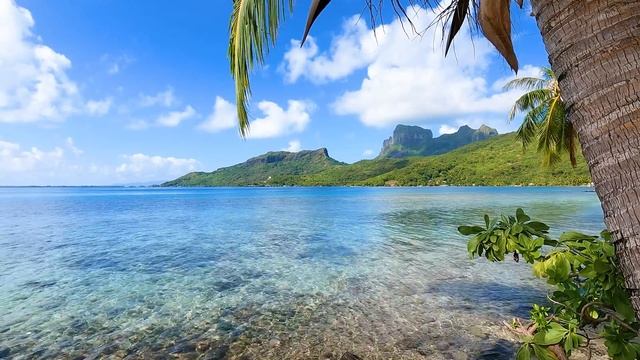 French Polynesia: 3 Hours Of Tropical Island Ambience For Relaxation