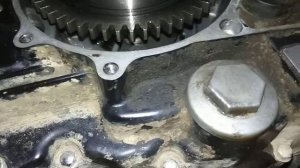 Как заменить цепь ГРМ на мотоцикле Irbis ttr250r без снятия ротора генератора (165fmm). Часть 2