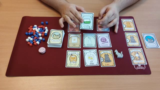 Cat Lady Játékbemutató смотреть онлайн