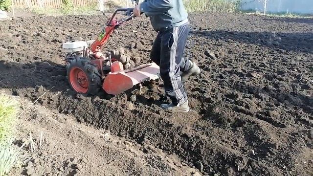 Пашем огород ,Агрос с плугом,первый раз подключил фиезу,выбивает ВОМ. смотреть онлайн