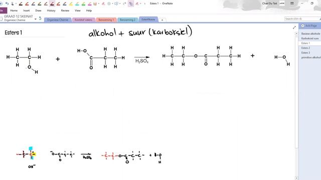 GR12 Organic Chem Esterifikasie смотреть онлайн