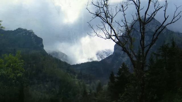 Zauberwald-Hintersee-Ramsau смотреть онлайн