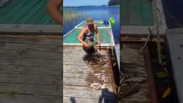 Наш егерь о рыбалке на о.Селигер смотреть онлайн