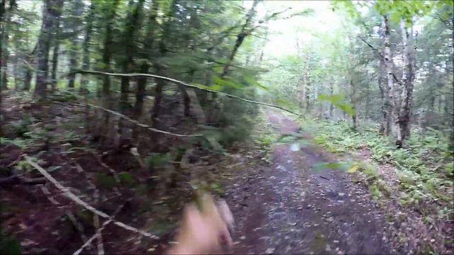 Bennett Brook Falls the full hike смотреть онлайн