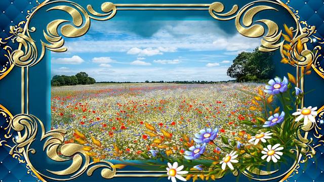 Поля России А.Исенгазин смотреть онлайн