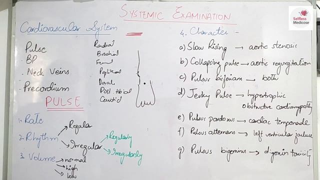 SYSTEMIC EXAMINATION part 2 CVS , PULSE in detail all things to remember смотреть онлайн