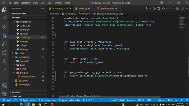 Adding size in product variant | Advance Django ecommerce services | NewtonSchool смотреть онлайн