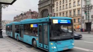 Лазурный автобус для Петербурга