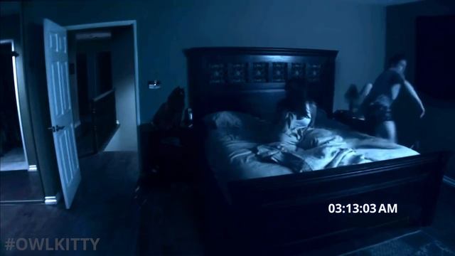 Purranormal Activity (with My Cat OwlKitty)