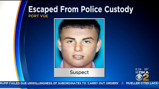 Police In Port Vue Searching For Man Who Escaped Custody смотреть онлайн