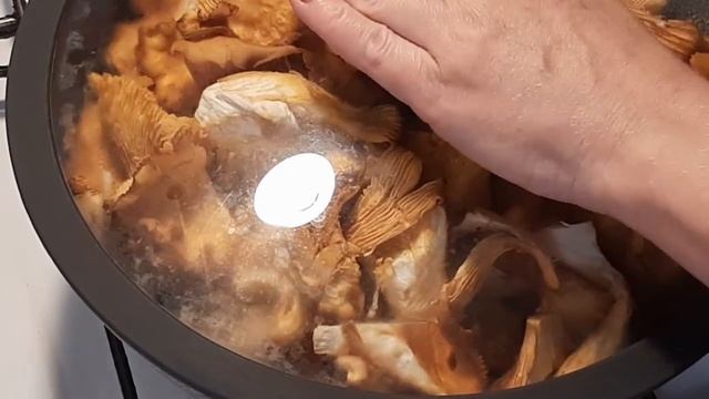 Вегетарианские Рестораны