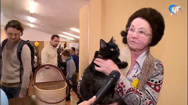 В Великом Новгороде провели благотворительный праздник «Кошкин Дом» смотреть онлайн