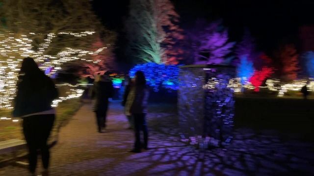 NIGHT LIGHTS (8) - Lawn Garden (1) - TOWER HILL - December 3 - Boylston, MA смотреть онлайн