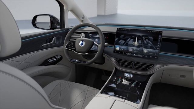 Footage _BYD Denza D9 Interior