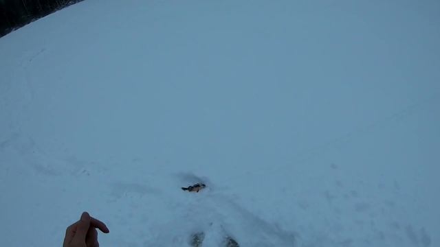 Рыбалка на лесном озере на снегоходах Буран и Arcticcat 570xt и не только) смотреть онлайн