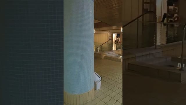 The Aquincum Hotel Budapest бассейны и сауны в спа отеле смотреть онлайн