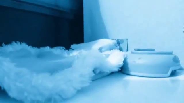 Лучший способ заставить брата делать уроки смотреть онлайн