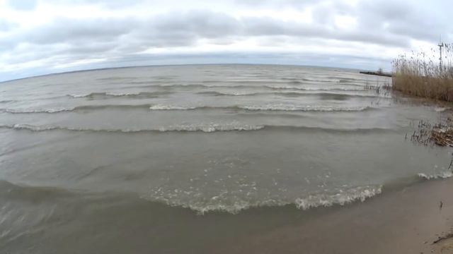 Грусть Овидия! смотреть онлайн