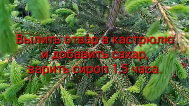 Готовим весело и со вкусом 