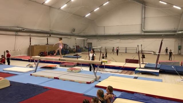 Первенство СШОР Пушкинского района (Бревно) смотреть онлайн