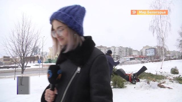 Как в Старом Осколе утилизируют новогодние ёлки смотреть онлайн