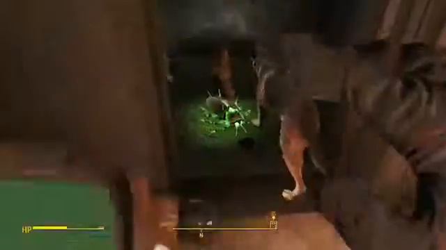 Fallout Complimenting Magnolia Companions Comments смотреть онлайн