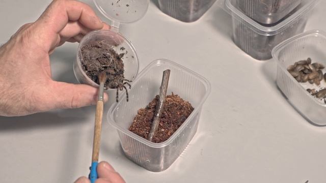 Как я провожу выходные. смотреть онлайн