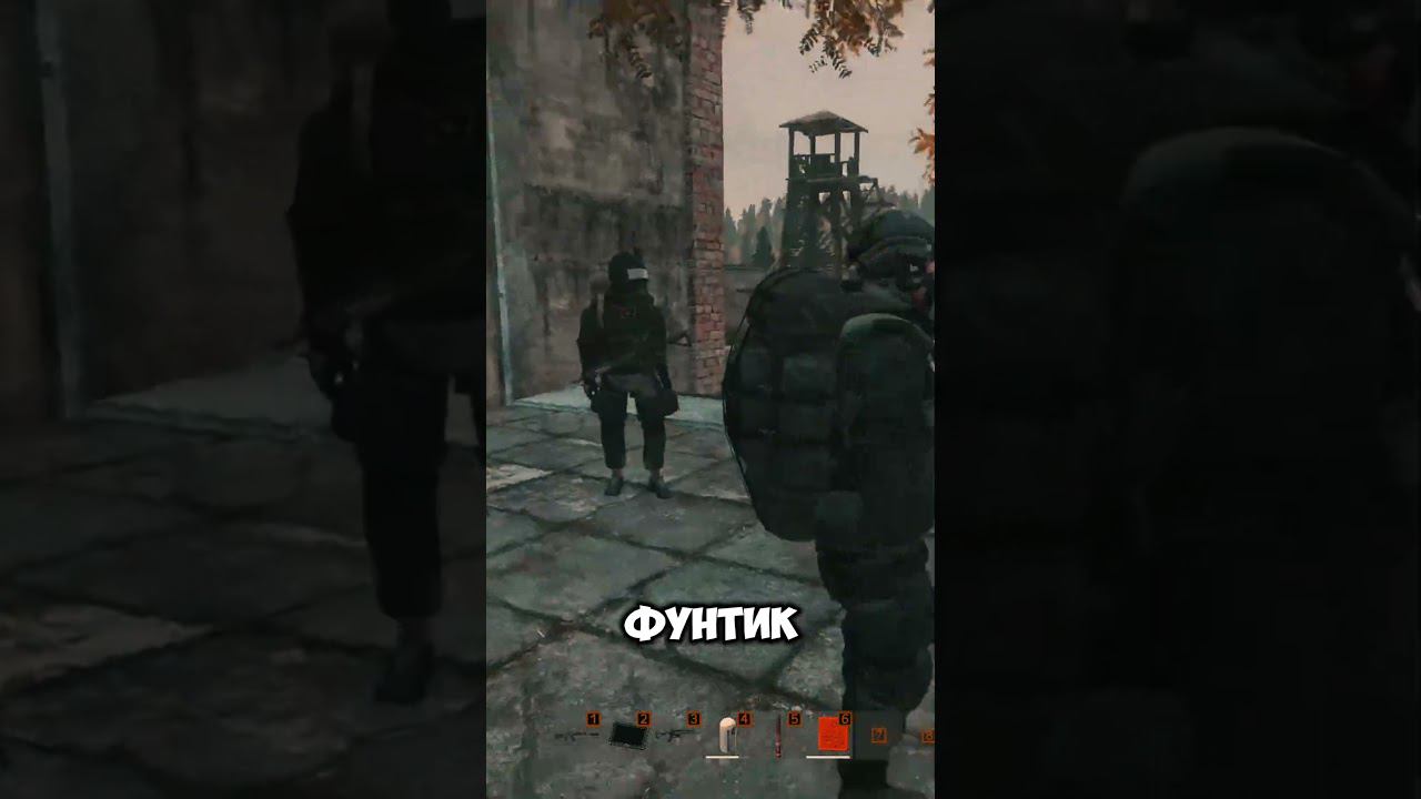 ДЕНЧИК ХРАНИТЕЛЬ СЕМЕНИ  #stalkerrp #dayzstalkerrp #stalker