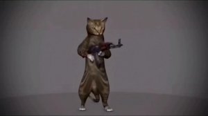 Кот с автоматом мем