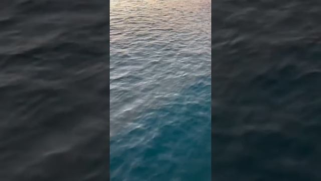 Воспоминания о лете ? Архипо-Осиповка август 2023 года ? Чёрное море ? в лучах заката ? смотреть онлайн