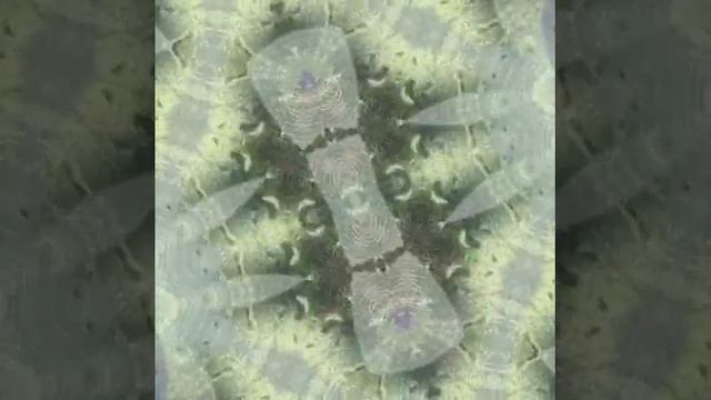 Я ДУШУ ТВОЮ НЕ ОТПУСКАЮ... смотреть онлайн