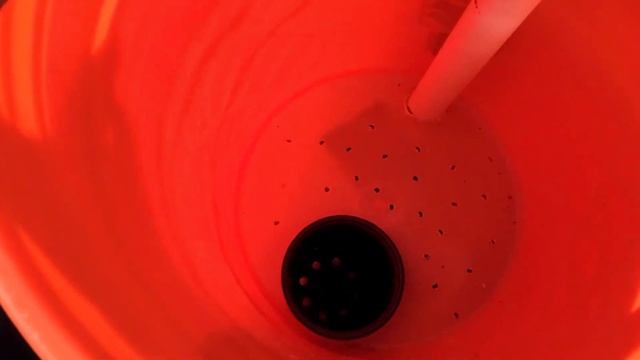How To Build the BEST 5 Gallon Self Wicking Container! DIY Self Watering Container #MIGgrowoff2022 смотреть онлайн