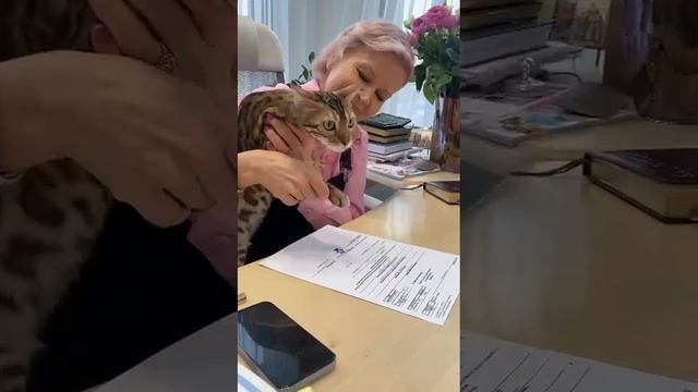 В Барнауле кошку приняли на должность руководителя направления работы со стрессом смотреть онлайн