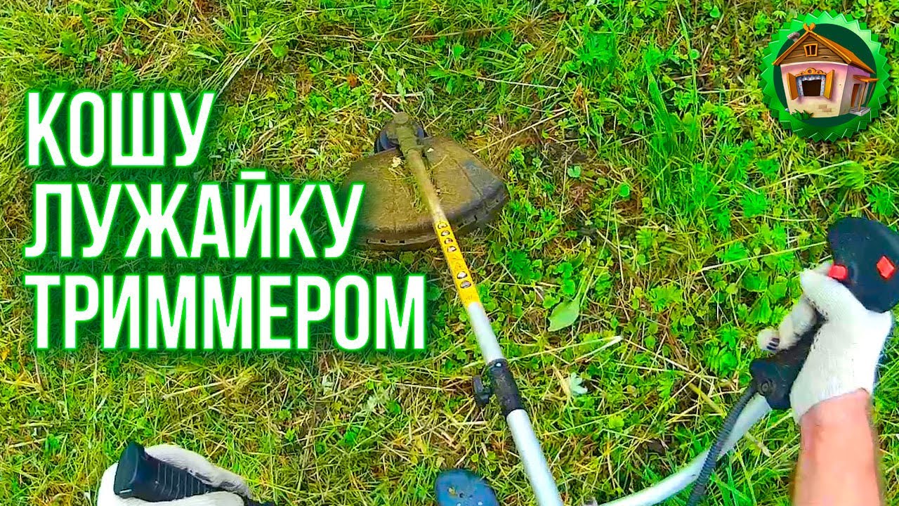 Кошу лужайку триммером. Медитация. Мелисса Выросла. Вишня Созрела. 27 серия смотреть онлайн