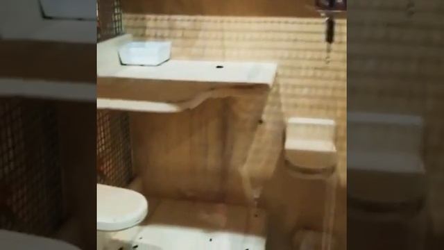 Витрина для Шиншилл своими руками ??️? смотреть онлайн