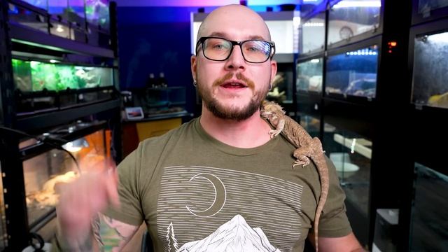 The 5 DUMBEST Reptile Laws and One That Just Changed The Hobby Forever! смотреть онлайн
