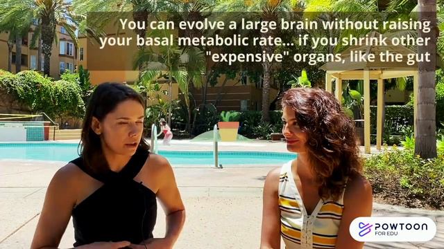 Explain it! Encephalization (Brain Size!) смотреть онлайн