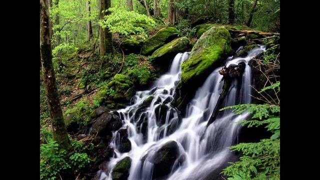 ДУХОВНОСТЬ В БЫТУ. смотреть онлайн