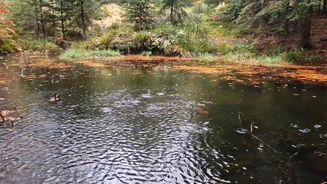 Олег Ломаков — ВОЗВРАЩЕНИЕ смотреть онлайн
