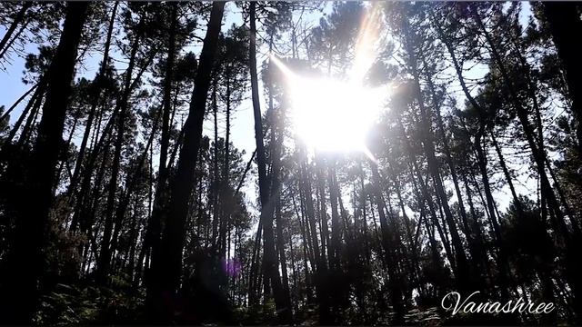 Vanashree Mantra Ra Ma Da Sa Sa Say So Hung смотреть онлайн